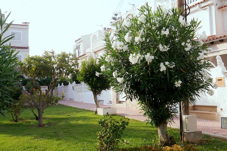 Bajo Del Sol Apartment Torrevieja Exterior photo